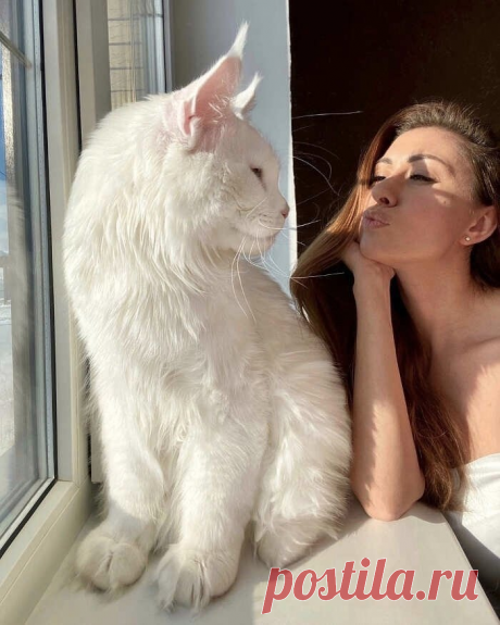 История Кефира, который перерос свою хозяйку | VestiNewsRF.Ru