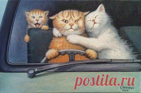 (535) Pinterest