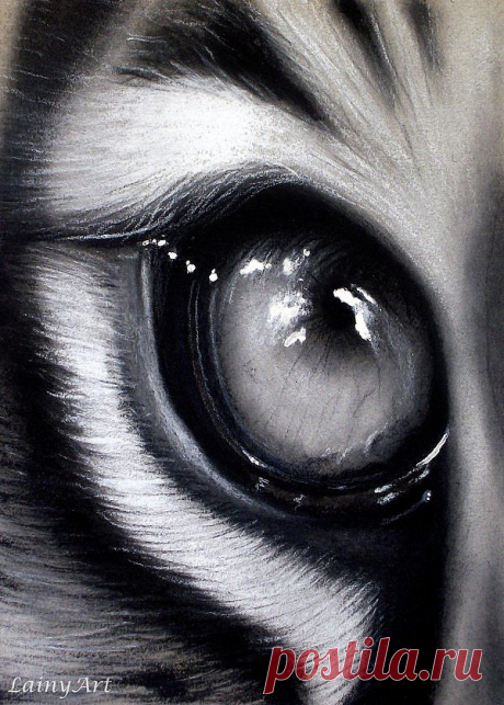 An eye