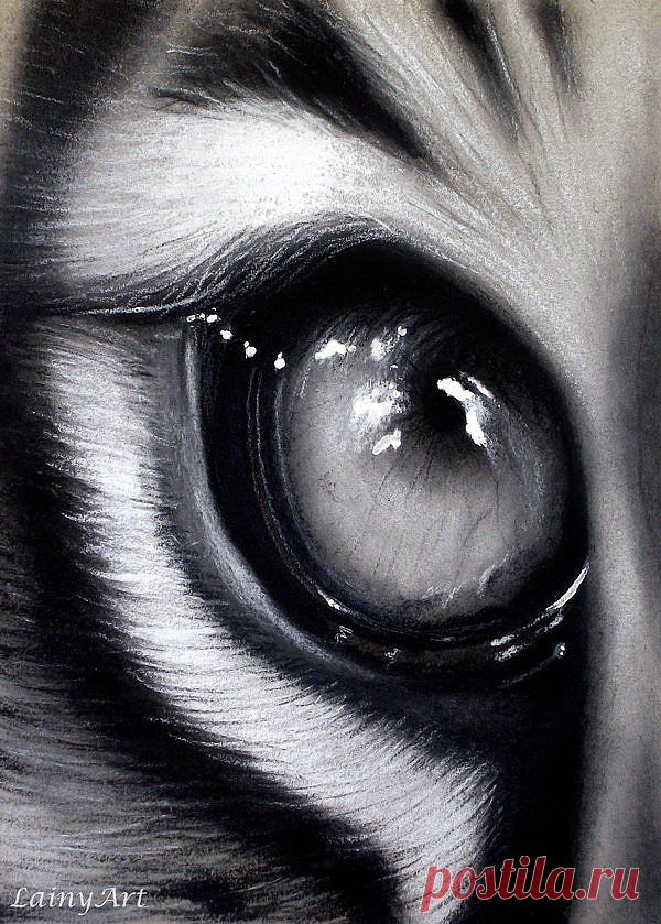 An eye