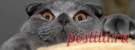 (100) Facebook