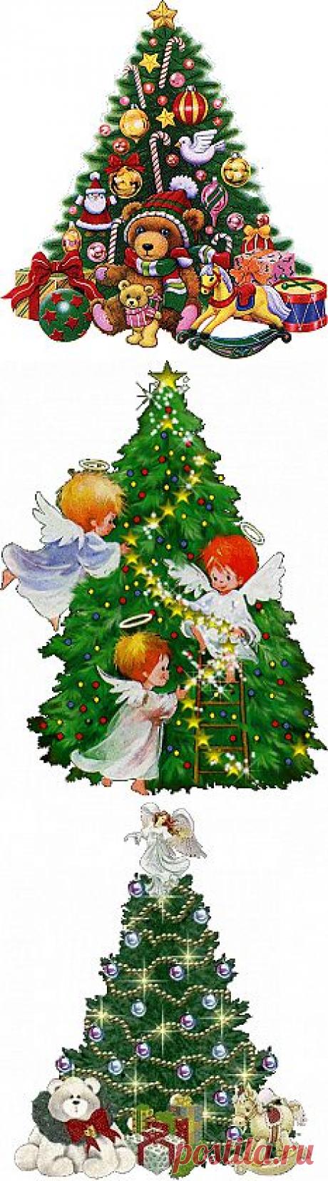 ЁЛОЧКИ от ДЕДА МОРОЗА....