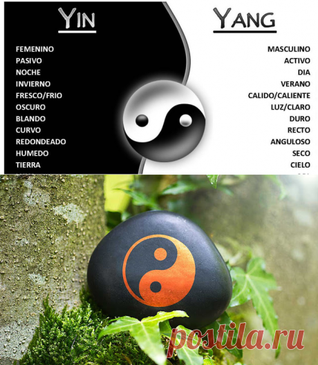 Concepto del Yin y el Yang