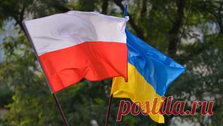 Польшу хотят засудить за просыпанное украинское зерно. Украинская сторона будет добиваться того, чтобы Польша компенсировала потери украинских перевозчиков при &quot;незаконной выгрузке зерна&quot;, заявил президент Ассоциации международных автомобильных перевозчиков Украины Леонид Костюченко. ...
