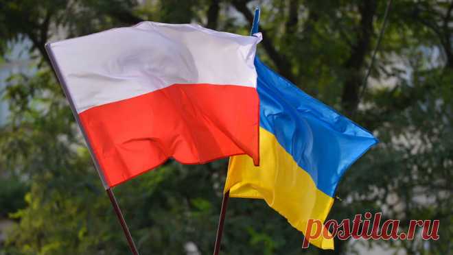 Польшу хотят засудить за просыпанное украинское зерно. Украинская сторона будет добиваться того, чтобы Польша компенсировала потери украинских перевозчиков при "незаконной выгрузке зерна", заявил президент Ассоциации международных автомобильных перевозчиков Украины Леонид Костюченко. ...