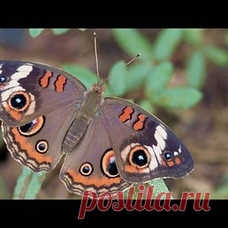 Интересные новости