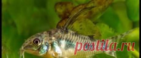 Мирный - Part 2