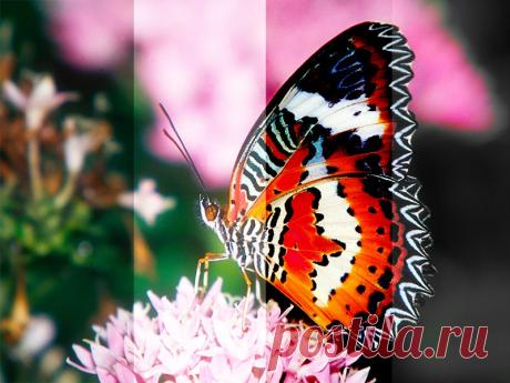 Режимы наложения слоёв в Web