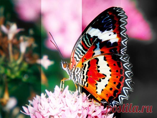 Режимы наложения слоёв в Web