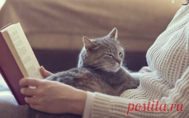 Необычные признаки высокого интеллекта | Делимся советами