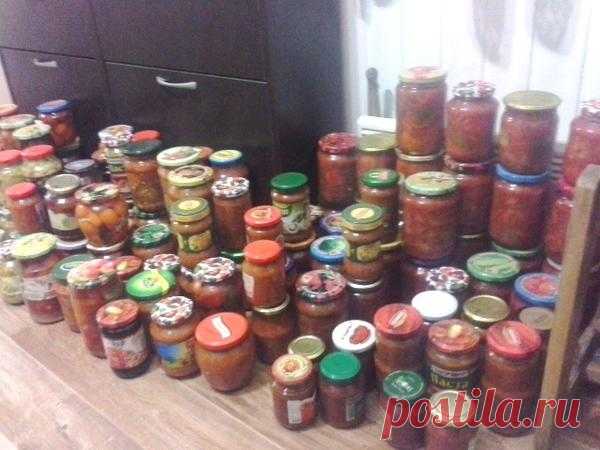 Заметки опытного 