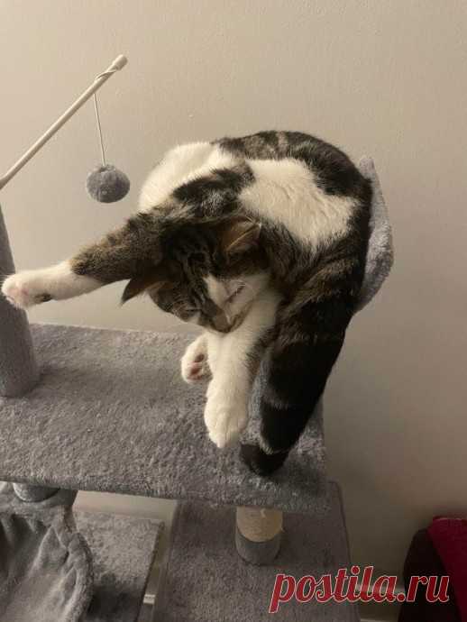 Новых жертв внезапного нападения сна можно обнаружить в абсолютно разных местах