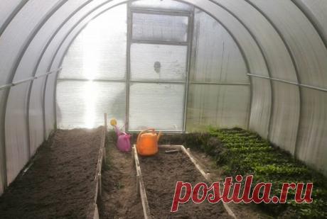 Что делать с почвой в теплице осенью после сбора урожая | Дачные секреты от Виктории Радзевской | Яндекс Дзен