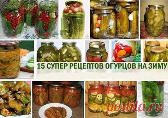 Топ-15 супер рецептов огурцов на зиму.