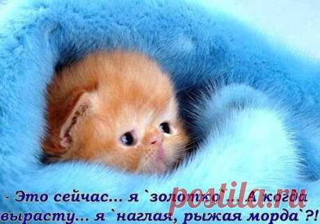 Йодная сетка: целебные свойства простых линий
Можно насчитать не менее двадцати различных заболеваний, при которых облегчить состояние человека можно путем наложения йодной сетки.
Крошечная склянка с йодом обычно имеется в каждой домашней аптечке, ведь никто в повседневной жизни не застрахован от ран и порезов, требующих оперативной антисептической обработки.
Еще в XIX веке врачи обнаружили, что при контакте с кожей йодный раствор способен действовать и как мощное противовоспалительное средств