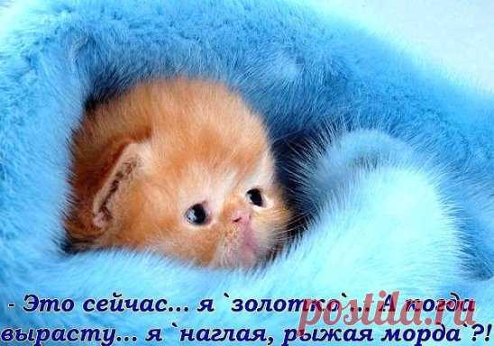 Йодная сетка: целебные свойства простых линий
Можно насчитать не менее двадцати различных заболеваний, при которых облегчить состояние человека можно путем наложения йодной сетки.
Крошечная склянка с йодом обычно имеется в каждой домашней аптечке, ведь никто в повседневной жизни не застрахован от ран и порезов, требующих оперативной антисептической обработки.
Еще в XIX веке врачи обнаружили, что при контакте с кожей йодный раствор способен действовать и как мощное противовоспалительное средств