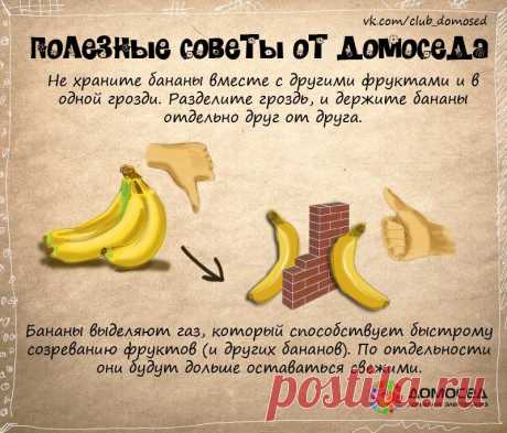 Полезные советы от Домоседа | ДОМАШНИЙ ОЧАГ