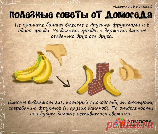 Полезные советы от Домоседа | ДОМАШНИЙ ОЧАГ