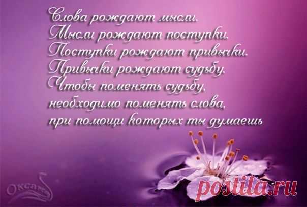 ╭დ╯СВЕТ ДУШИ╭დ╯