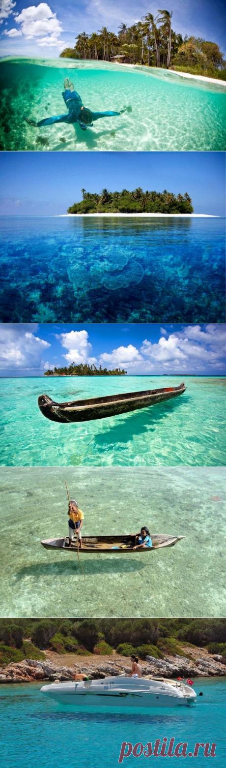 Чистейшие воды