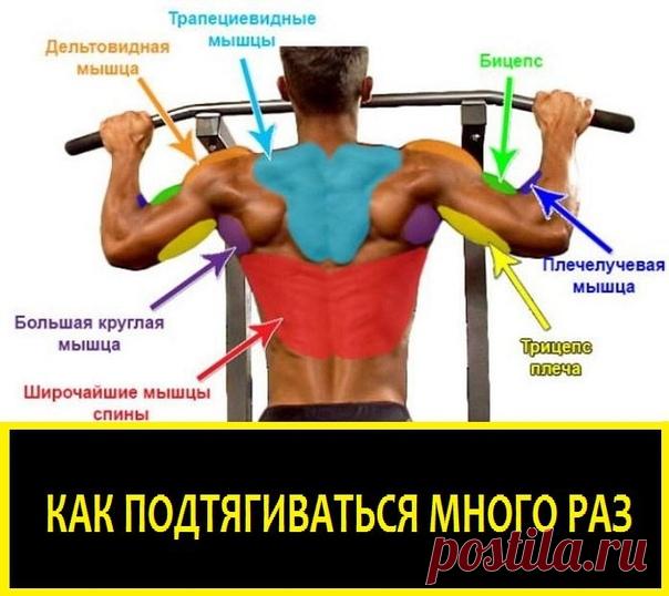 КАК ПОДТЯГИВАТЬСЯ МНОГО РАЗ

1)ТРЕНИРУЙ ХВАТ
Как при выполнении отжиманий первым сдает кор, так и на подтягиваниях кисти могут предать тебя раньше положенного. Отбрось штангу и качковские журналы — варианты сгибаний/разгибаний кистей здесь тебе не помогут. Начни висеть на турнике, лазать по канату или хотя бы просто «бегать» в висе по высокой горизонтальной лестнице на детской площадке.
Показать полностью…
