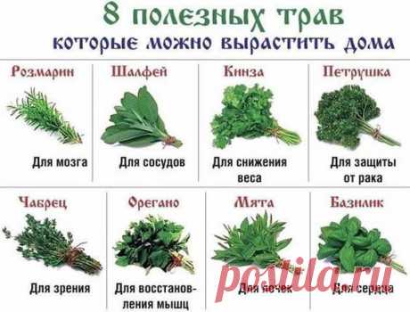 (82) Рецепты домашних блюд