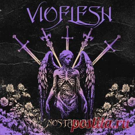 Vioflesh - Nostalgia (2025) 320kbps / FLAC