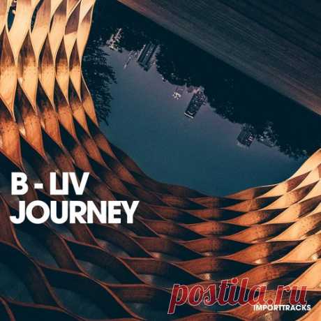 B-Liv – Journey [IT030] B-Liv – Journey [IT030]