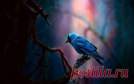 malohe (@maloheo27) / Twitter