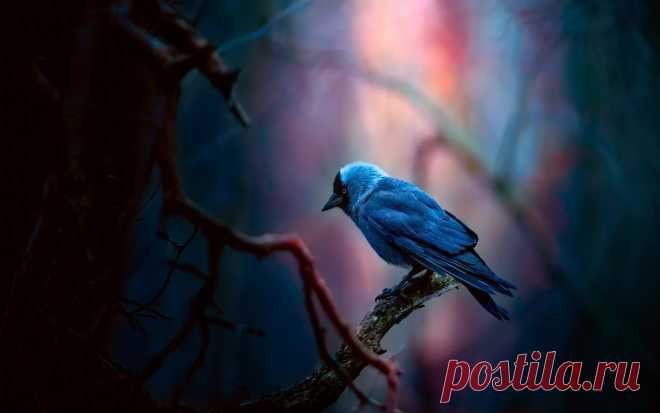 malohe (@maloheo27) / Twitter