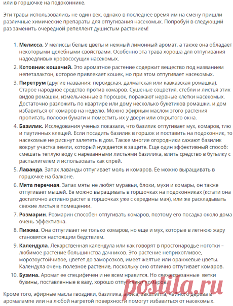 Как избавиться от комаров народными средствами — 1000 секретов