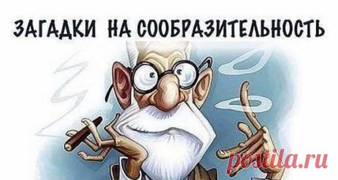 15 загадок с подвохом
