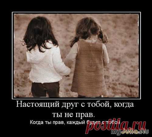 Друг рядом