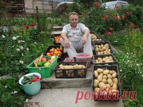 Советы Игоря Лядова