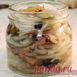 Маринованная сельдь ну очень вкусно