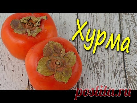 Хурма: полезные свойства и противопоказания | Здоровье и Красота современной женщины