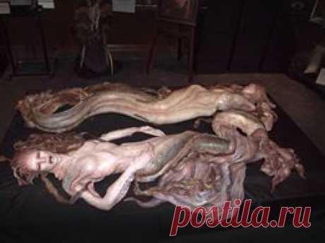 (80) Facebook - это что еще за чудо-юдо!?....