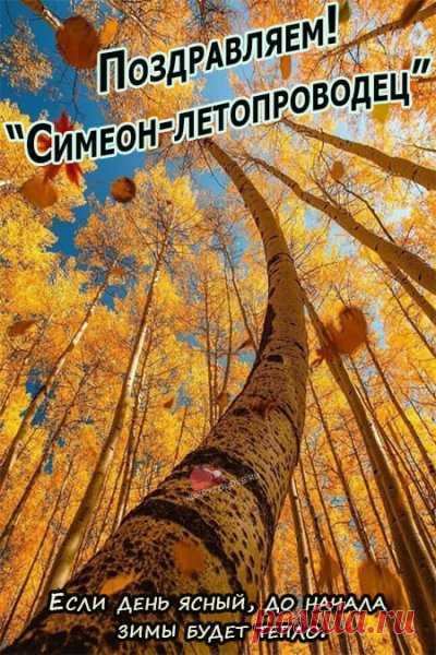 Лето ставит уже точку,
Жаль, конечно, расставаться,
Вам воспоминаниями
Я желаю наслаждаться.