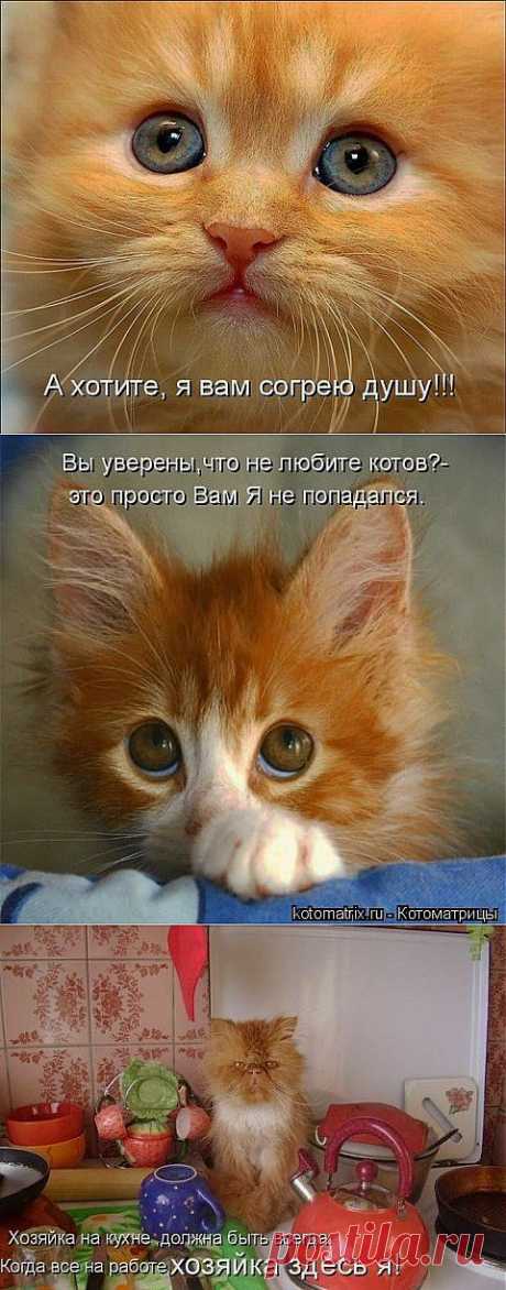 А хотите, я вам согрею душу...