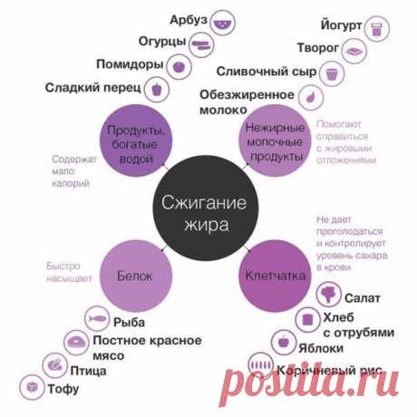 Здоровое питание | Power of will