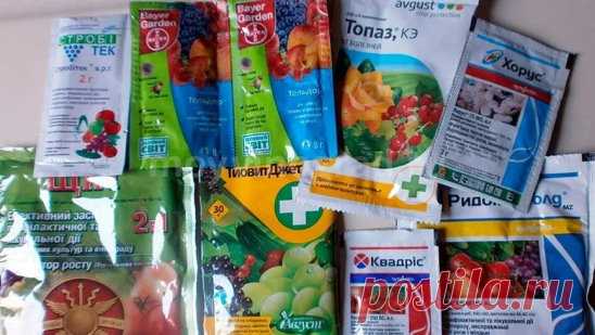 Фунгициды для защиты винограда (таблица - СРОКИ ОЖИДАНИЯ)                                                В качестве справочного материала для виноградарей я подготовил таблицу препаратов, которые могут применяться для защиты винограда от болезней. Выбирал среди фунгицидов, которые часто встречаются на российских прилавках, а также добавлены некоторые новые перспективные пестициды. Некоторые фунгициды являются точными аналогами друг друга, поэтому они объединены в одну ячейку.
Нормы расхода на ге