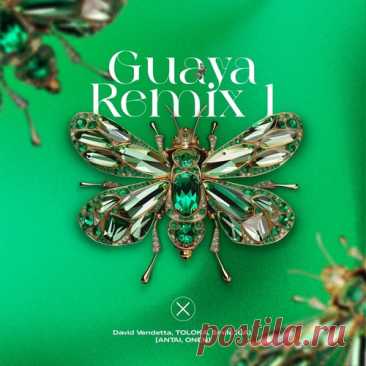 Download David Vendetta, TOLOKA, Smile (UA) - Guaya Remix 1 - Musicvibez Label Axiom Music Styles Indie Dance Date 2024-05-24 Catalog # AXIOM0021 Length 6:17 Tracks 1