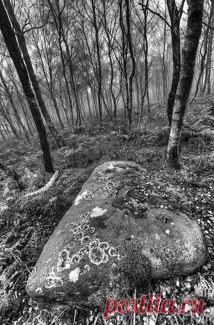 flickr.com.