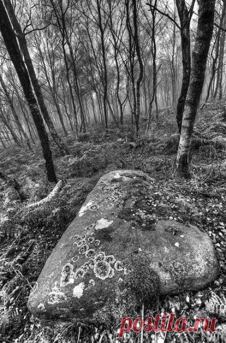 flickr.com.