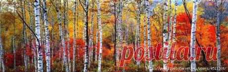 Березовая роща. Вышивка крестом