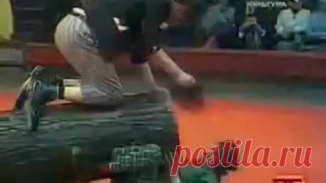 ЮРИЙ НИКУЛИН И МИХАИЛ ШУЙДИН (БРЕВНО)