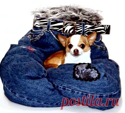 как у папы на ручках - кресло для любимицы