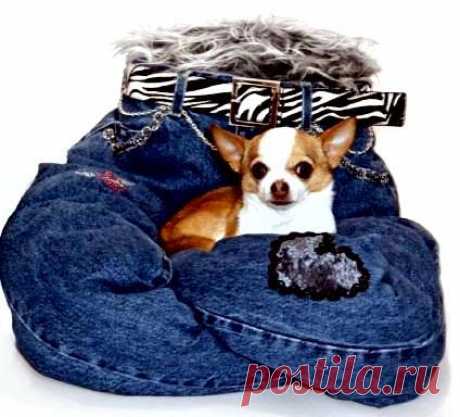 как у папы на ручках - кресло для любимицы