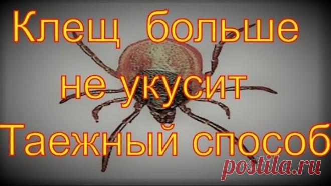 (68) Одноклассники