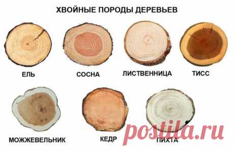 Мой Мир@Mail.Ru